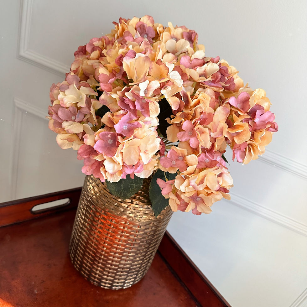 Cream / Brown Hydrangea Bush 45cm