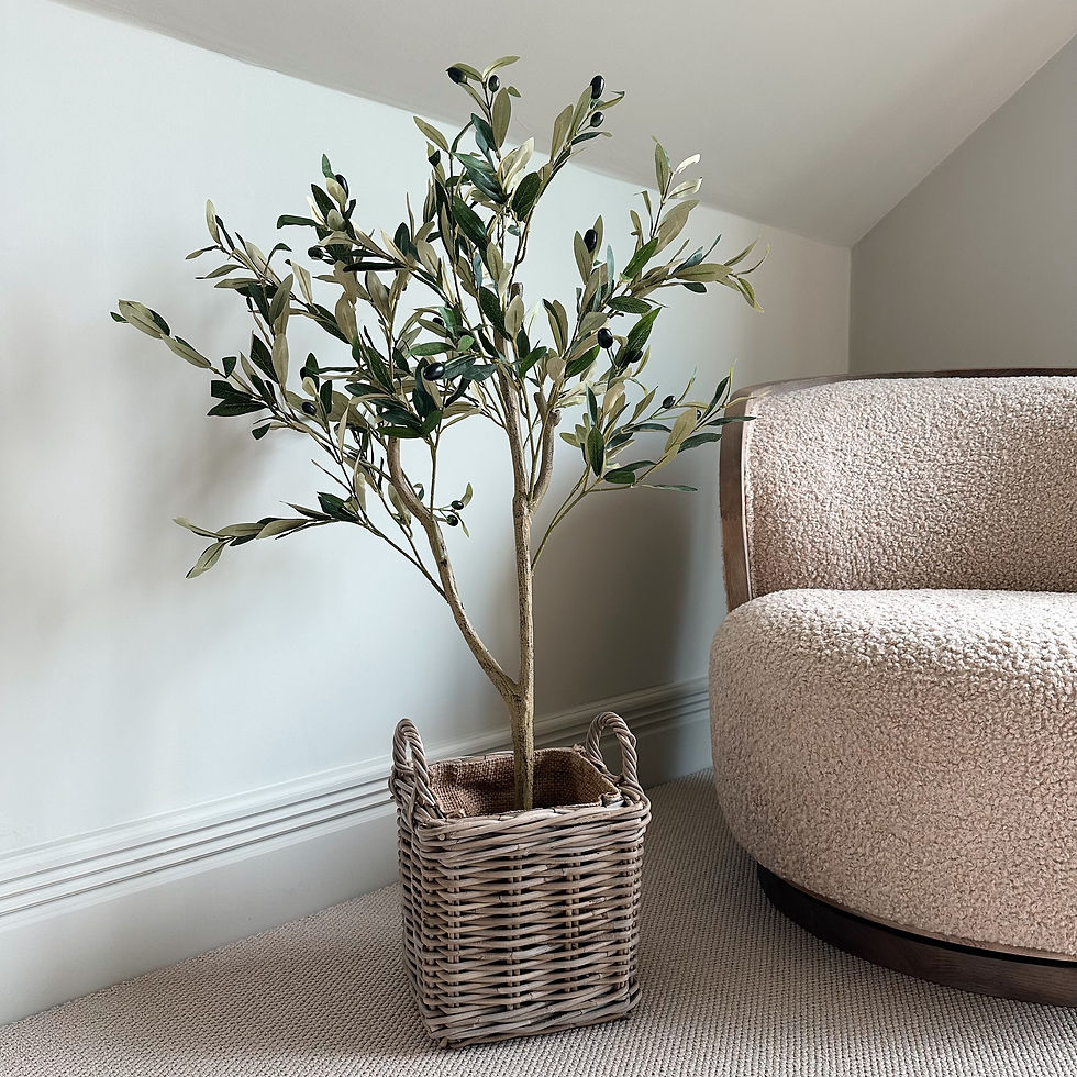 Thumbnail: Lavish Olive Tree 100cm