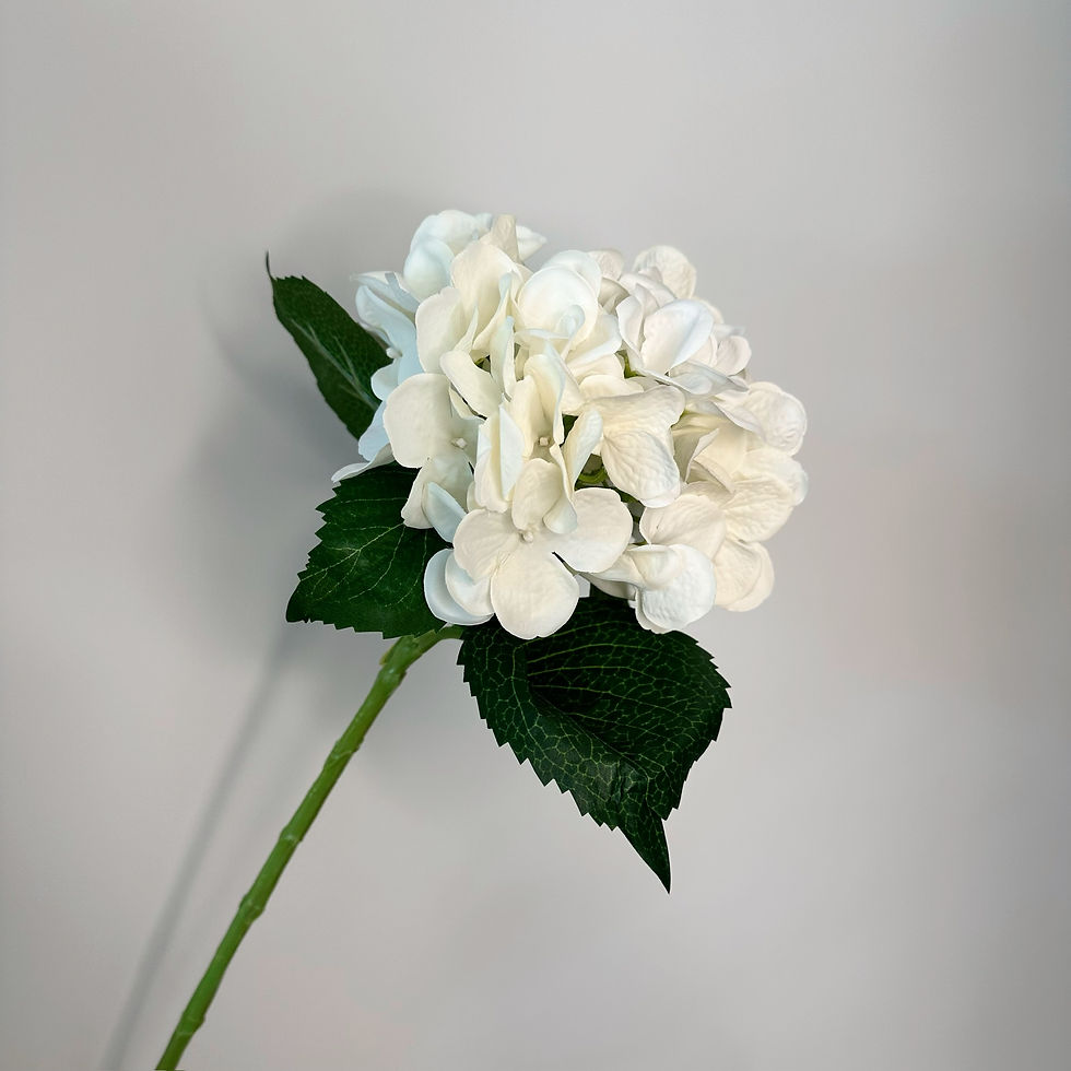 Thumbnail: Chloe Single Large Hydrangea