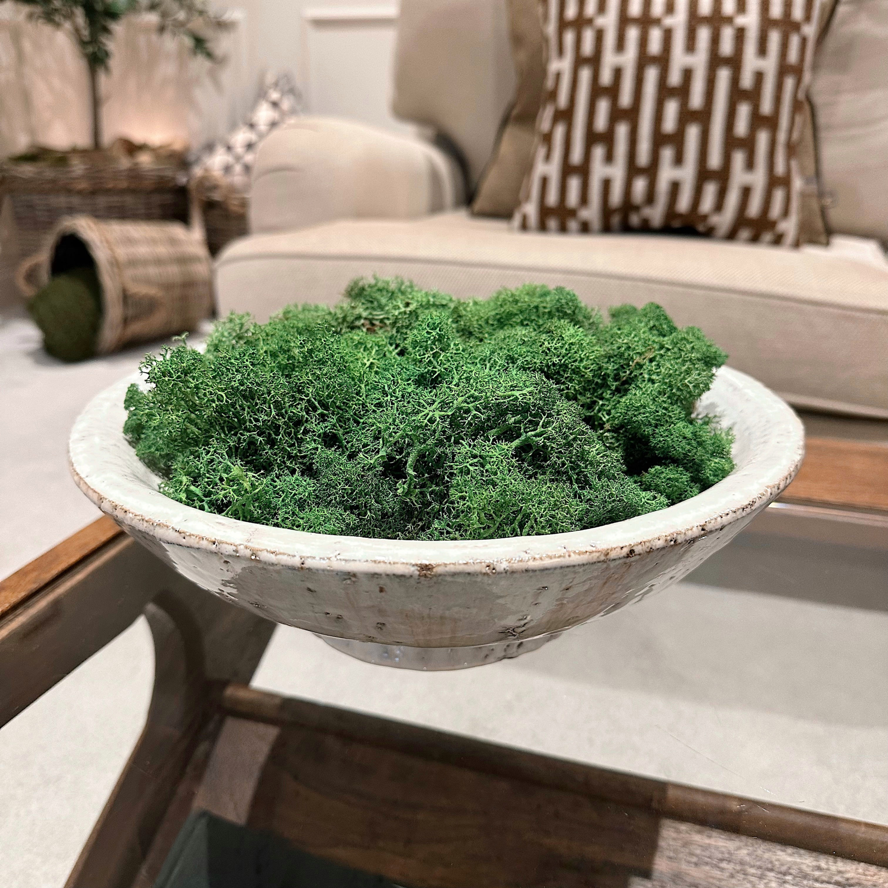 Finland Dark Green Reindeer Moss X 500g