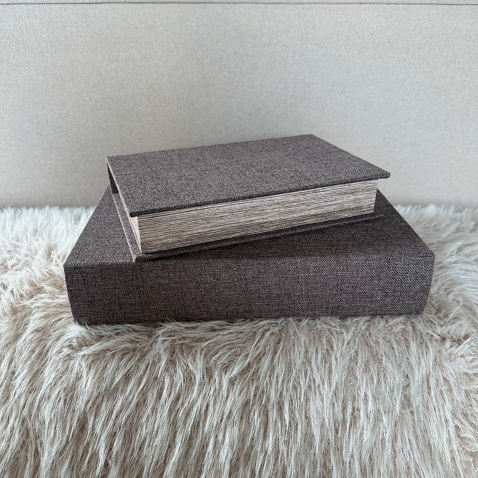 Thumbnail: S/2 Textured Book Boxes