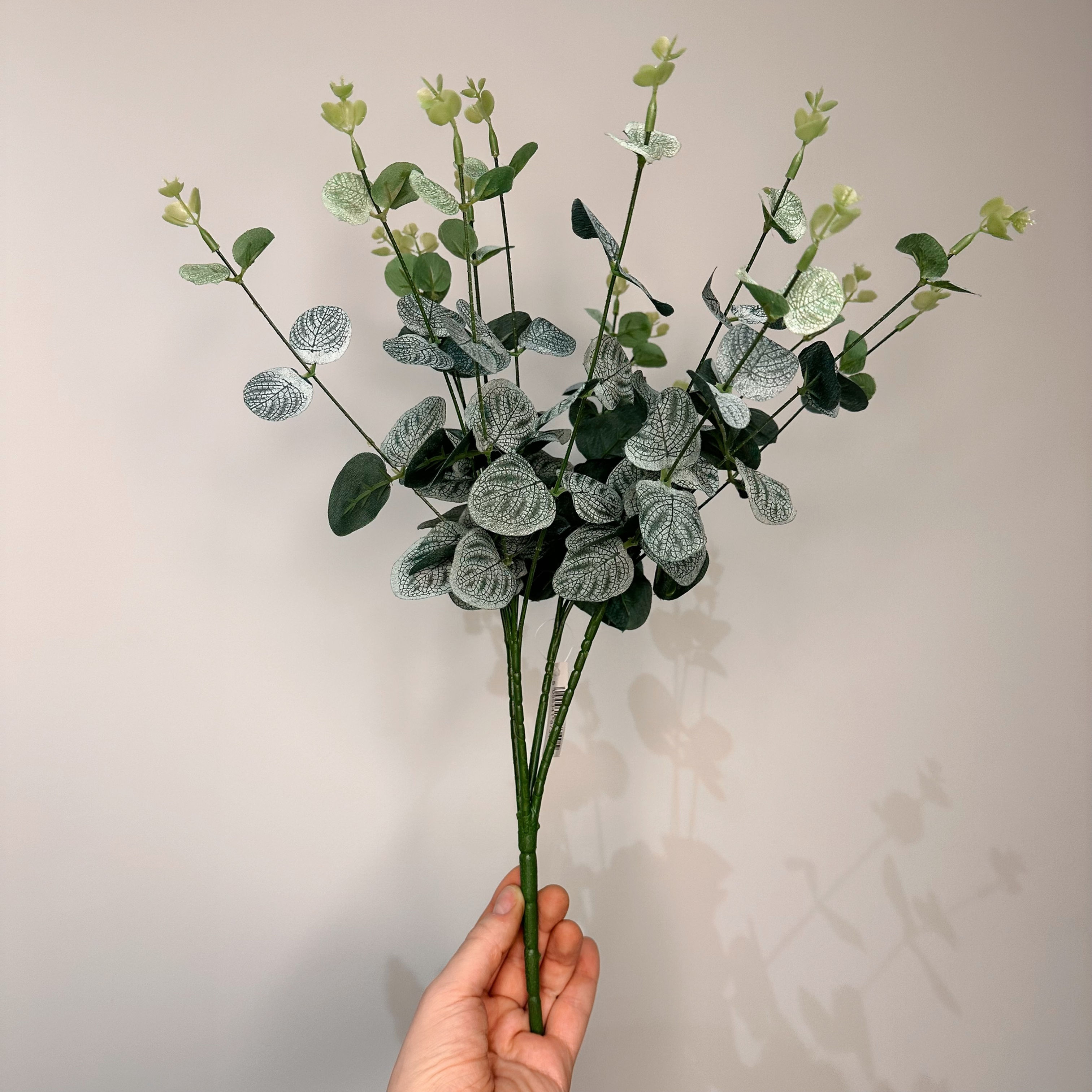 Eucalyptus Bush Frosted Green 50cm