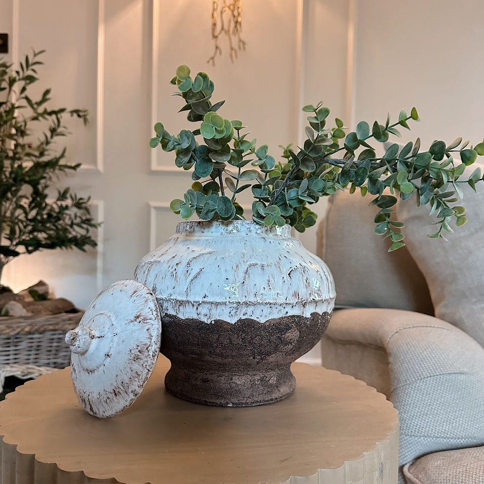 Aged Cream Terracotta Pot with Lid styled with some stems.