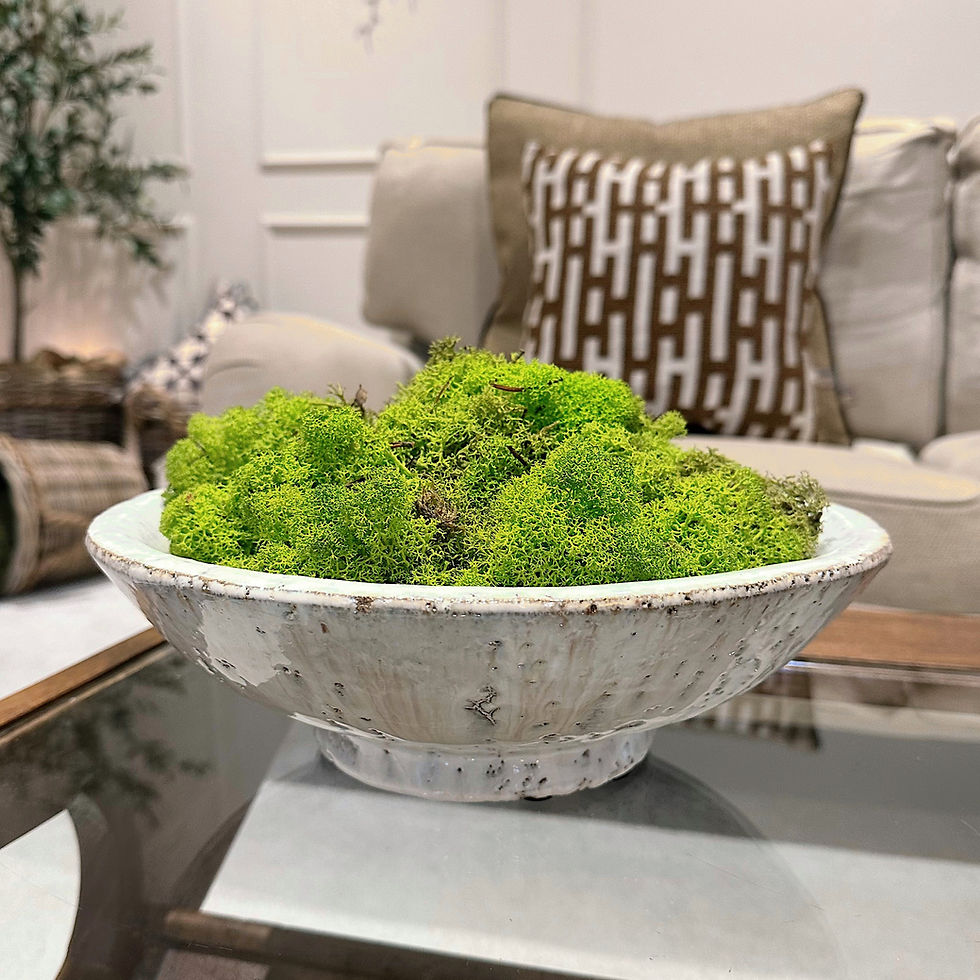 Finland Reindeer Moss Light Green X 500g