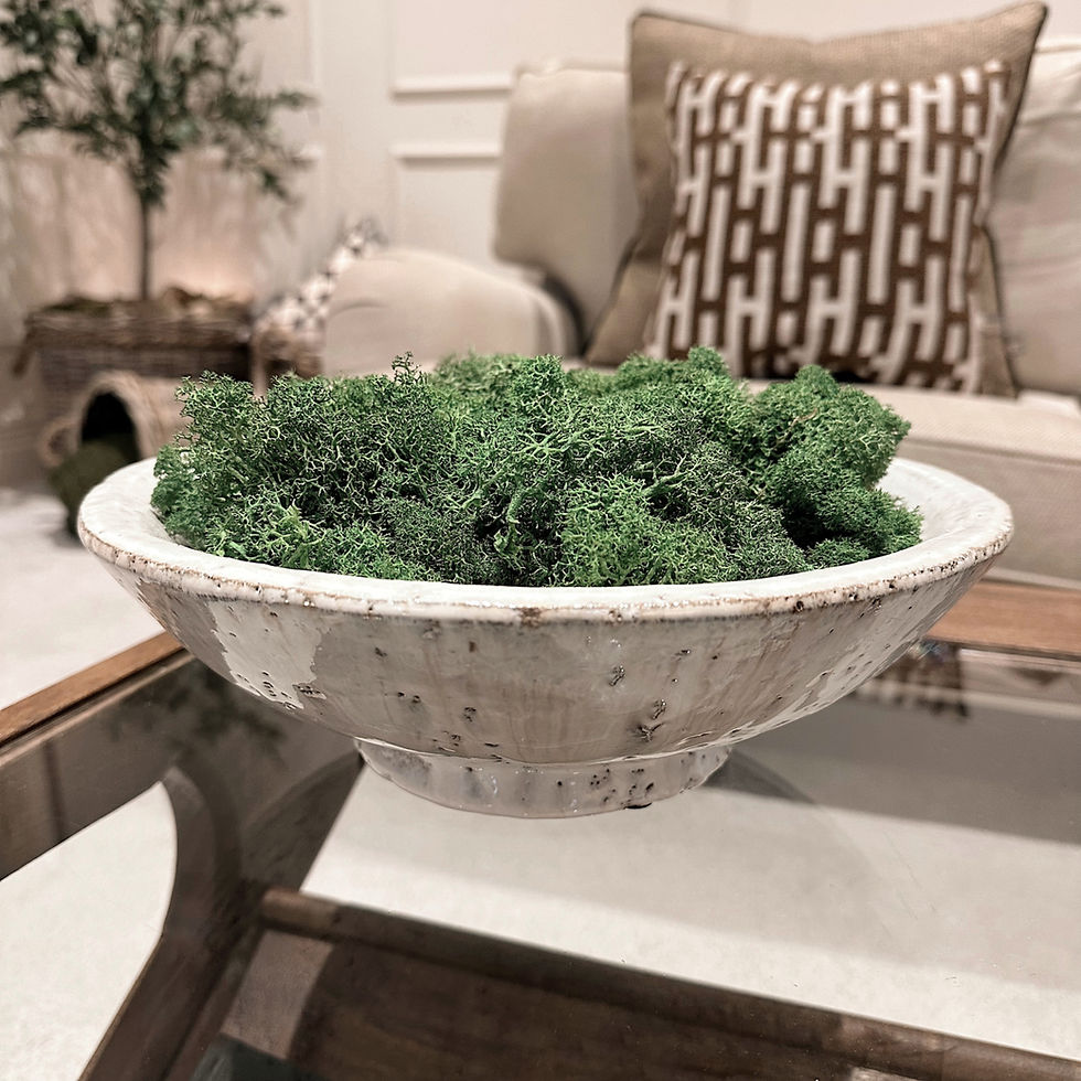 Thumbnail: Finland Dark Green Reindeer Moss X 500g
