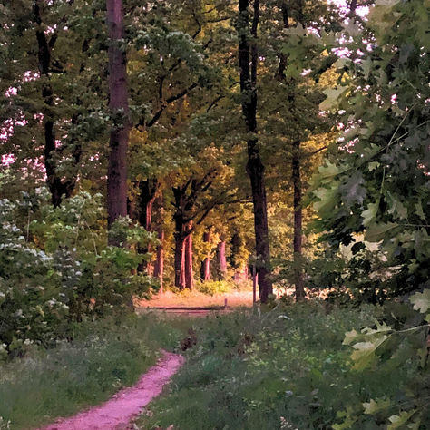 Waarom wandelen en praten heeLt