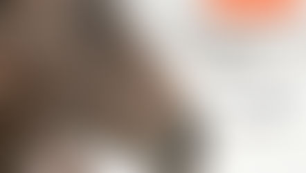 Equine Client Appreciation Dinner 2026