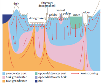 Grondwatermodel.png