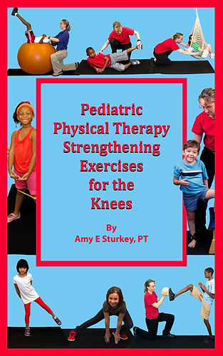 PPTEforKnees BookCover-.jpg