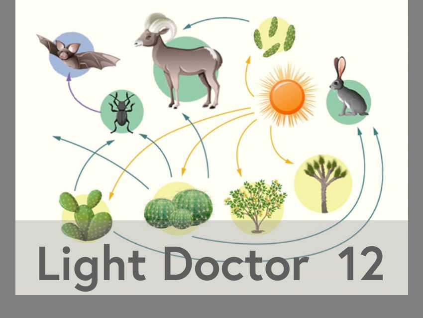 Dr. Martin Moore-Ede se ve svém podcastu The Light Doctor také zabývá dopadem elektrického světla na volně žijící druhy