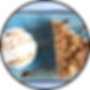 Apple Crumble Kuchen
