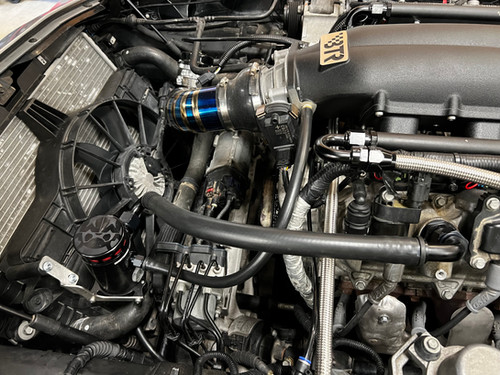 C7 Wild | mmsolutions