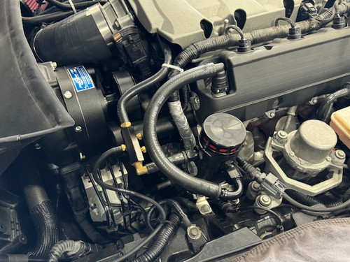 C7 Wild | mmsolutions