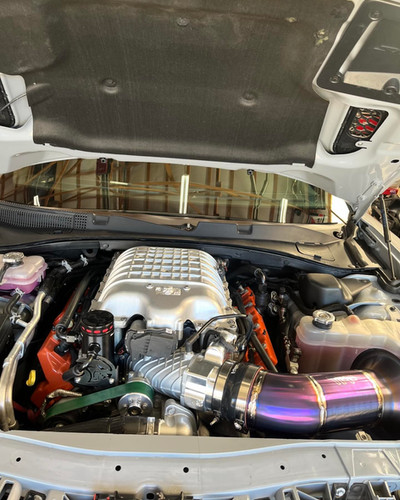 Hellcat / Demon Wild | mmsolutions