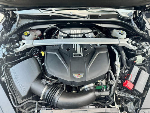 Blackwing Wild | mmsolutions