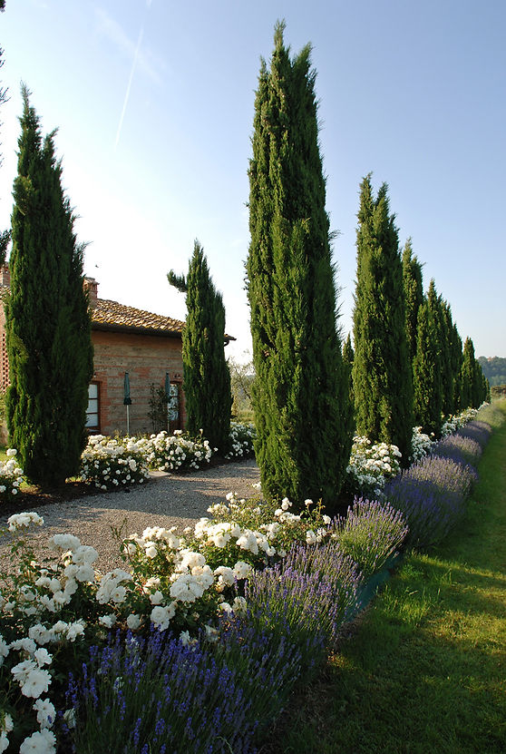 viale_contatti.jpg