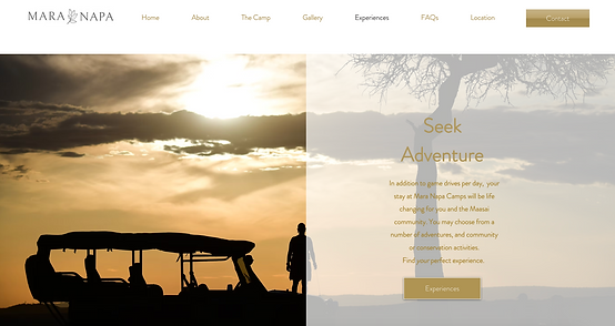 Website with robust backend SEO inclusive of meta tags, keywords, backlinking, internal linking, and more