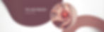 website banner_edited.jpg