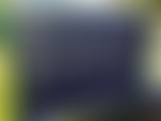 Rozpis veřejných lekcí: 19.11.-2.12.