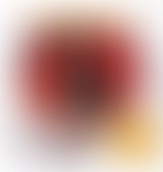 【表紙】VOICE vol.1に掲載されました