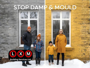 Stop Damp and Mould Before Winter