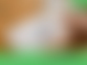 Autumn Budget 2025 Day One Guide: What Changed and What To Do This Week