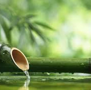 Bamboo stick in water