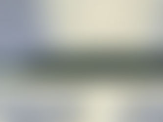 A Curator's Account: A Talk with Carl Little