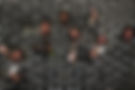 CAN_6771_Adjusted.jpg