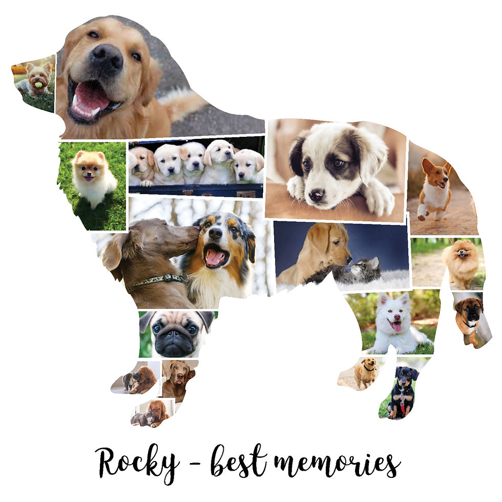 Thumbnail: Golden Retriever Photo Collage
