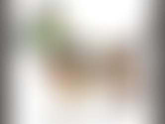 The Perfect Paws-ent: Why Dog Collages Are the Ultimate Gift for Dog Lovers