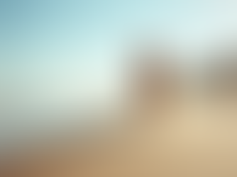 Exploring Newquay: Dog Walking Adventures Await