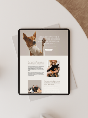 Essential Website Design Do's and Dont's