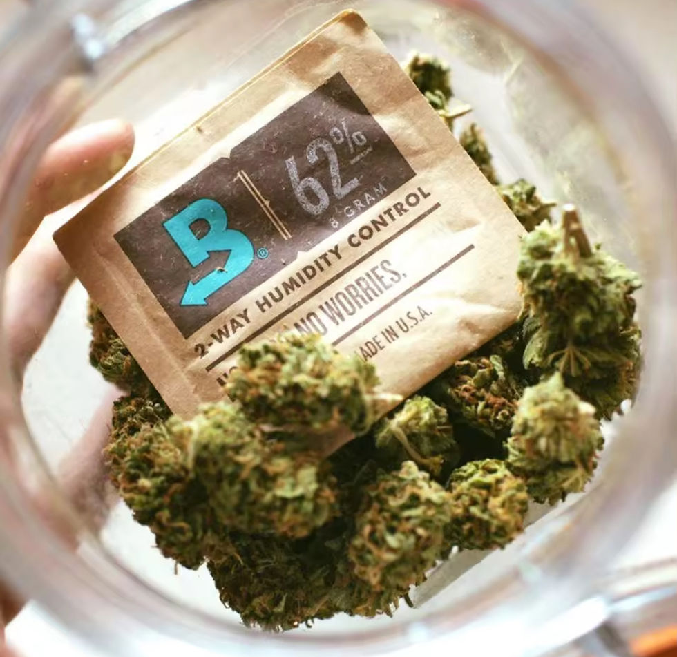 Миниатюра: BOVEDA 67 GR | up to 450 Grams | 62% RH | TERPENE SHIELD HUMIIDITY CONTROL
