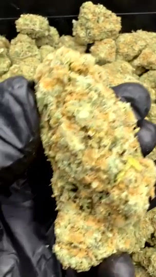 Thumbnail: NORTHERN LIGHTS