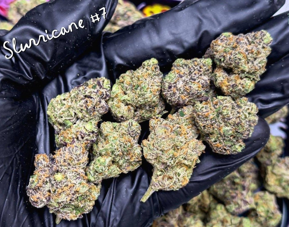 Thumbnail: SLURRICANE #7 EXOTIC 
