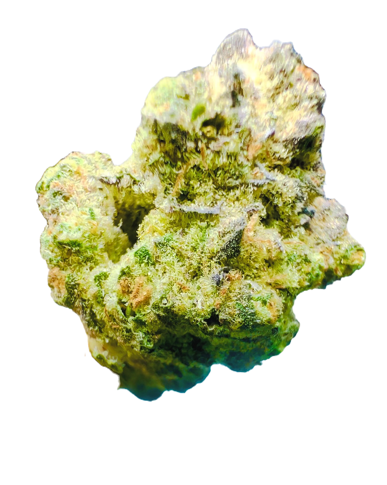 DIVINE SLURRICANE | AAAA+ 29% THC