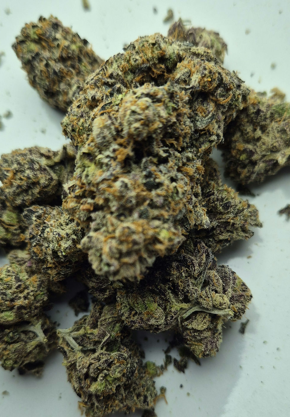 Miniature : WEEKEND at Gary's 25% thc 