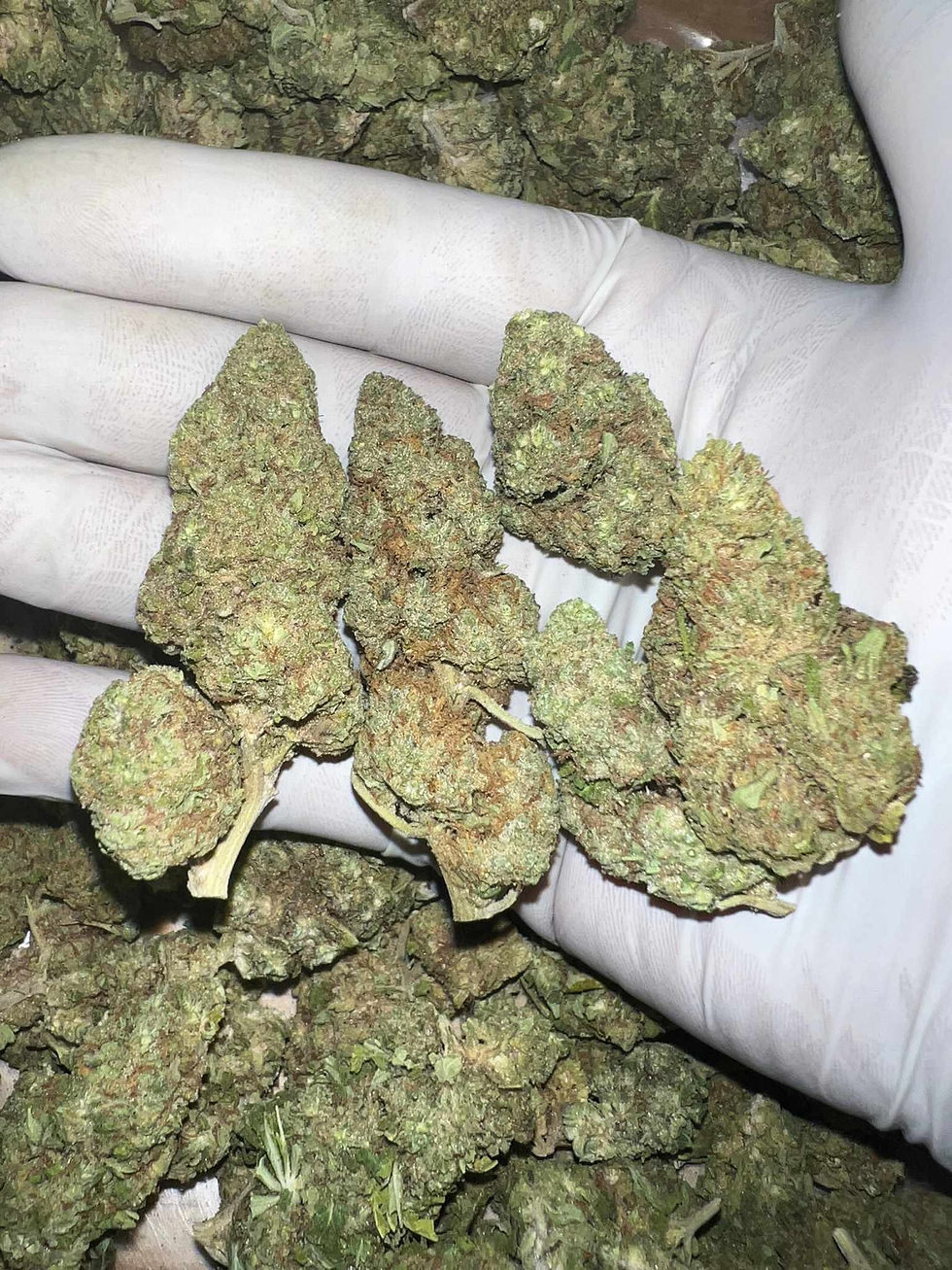 Миниатюра: GORILLA PUNCH