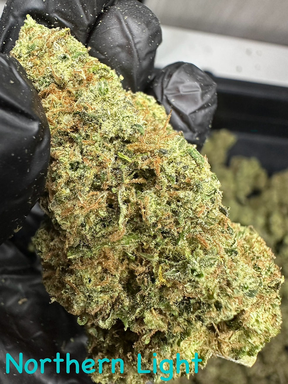 Thumbnail: NORTHERN LIGHTS