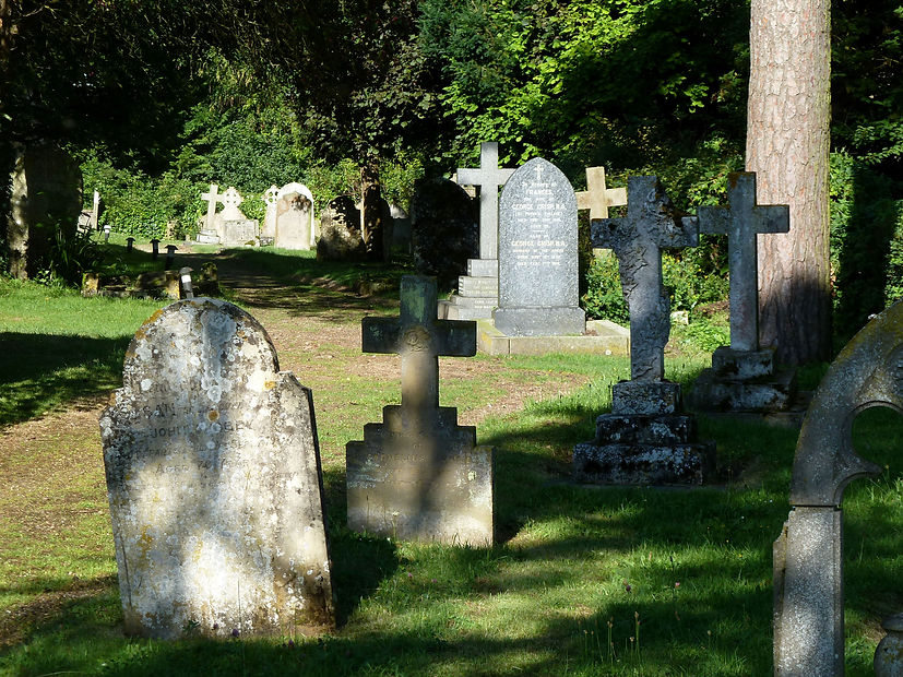 P1030602a.jpg