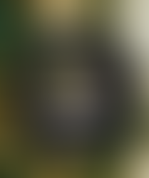 2024 Detroit Tigers Snoopy And Friends Merry Christmas Shirt