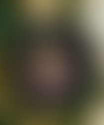 2024 NC State Wolfpack Snoopy And Friends Merry Christmas Shirt