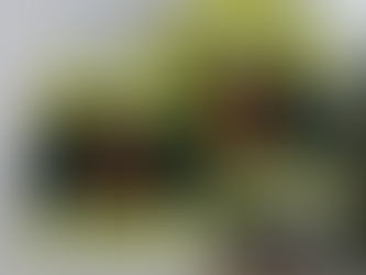 Washington Commanders Gameday Couture Women’s Time Out Oversized shirt