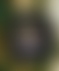 2024 TCU Horned Frogs Snoopy And Friends Merry Christmas Shirt