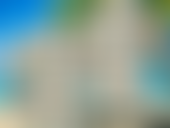 Bluey Family Hawaiian Shirt Summer Vacation Gift