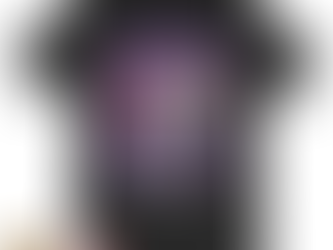 Edmonton Oilers Wayne Gretzky the great one sports illustrated and Edmonton skyline signature shirt