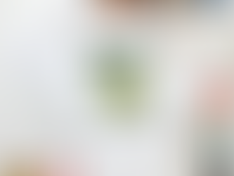 TMNT Michelangelo x Philadelphia Eagles Shirt