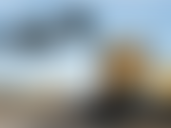 THE SIMPLICITY OF PORTABLE SURVEILLANCE