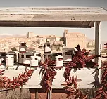 BARBIERI_edited_WEB_2_risultato.webp